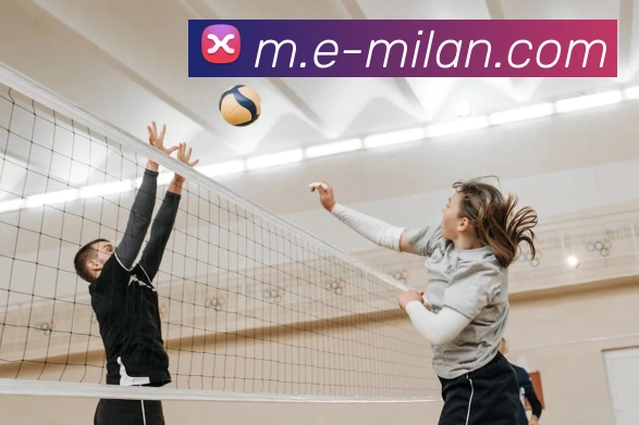 App Interface Preview